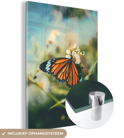 MuchoWow® Glasschilderij 30x40 cm - Schilderij acrylglas - Vlinder - Bloemen - Tuin - Foto op glas - Schilderijen