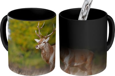 Magische Mok - Foto op Warmte Mokken - Koffiemok - Dieren - Hert - Gewei - Bosdieren - Natuur - Magic Mok - Beker - 350 ML - Theemok