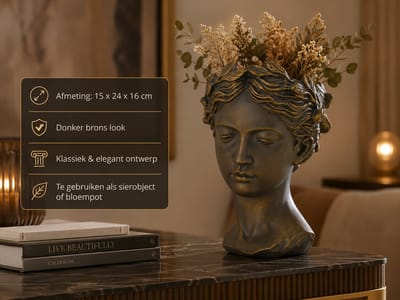 Decoratief Beeld Vrouwenhoofd met Bladeren – Donker Brons Look met Gouden Accenten – Klassieke Buste Vaas / Bloempot – Plantenhouder & Sierobject – Luxe Woondecoratie Ornament voor Dressoir, Kast of Vensterbank – 15x24x16 cm