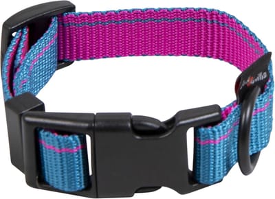 Jack and Vanilla Halsband met kliksluiting voor honden - Maat S - Verstelbaar 18 / 26 cm - Hondenhalsband - Puppy halsband - Blauw / Roze