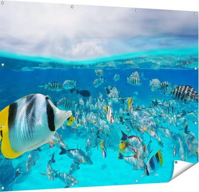 Gards Tuinposter Zwerm Gele Vissen in het Water - 150x120 cm - Tuindoek - Tuindecoratie - Wanddecoratie buiten - Tuinschilderij