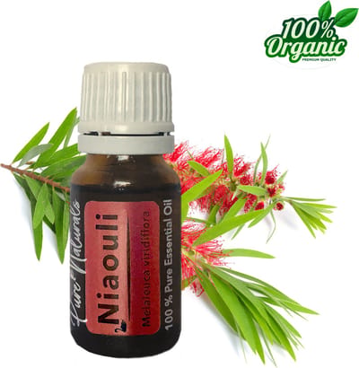 Niaouli etherische Olie 10 ml | Niaouli Oil | 100% PUUR | Bio | Essentiële olie Aromatherapie | Olie diffuser | Geschikt voor inname | Pure Naturals