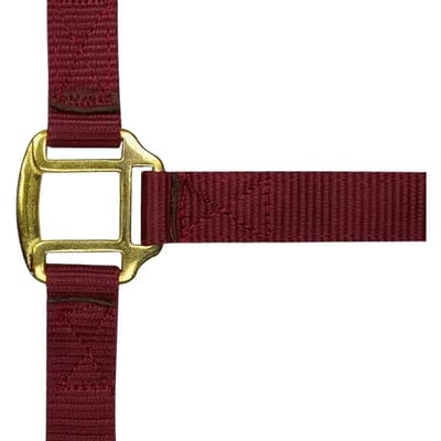 Halster voor paarden Norton Doublé cuir