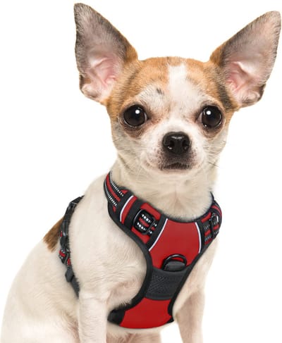 JAXY Hondenharnas - Hondentuig - Hondentuigje Kleine Hond - Y Tuig Hond - Harnas Hond - Anti Trek Tuig Hond - Reflecterend - Maat XS - Rood