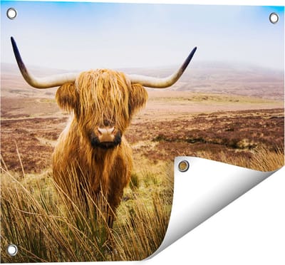 Gards Tuinposter Schotse Hooglander Koe in het Veld - 50x40 cm - Tuindoek - Tuindecoratie - Wanddecoratie buiten - Tuinschilderij