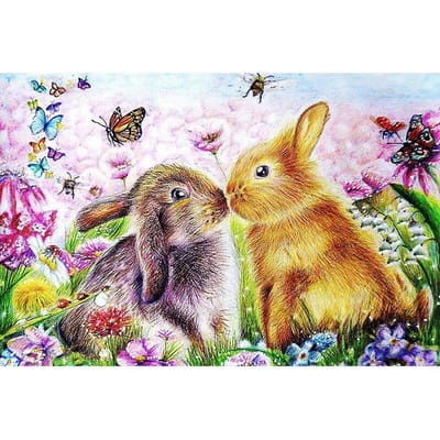 5D DIY Diamond Painting mooi konijn Borduren Kruissteek Strass Mozaïek Home Decor 20X30CM