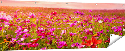 Gards Tuinposter Kleurrijke Kosmos Bloemenveld - 180x60 cm - Tuindoek - Tuindecoratie - Wanddecoratie buiten - Tuinschilderij
