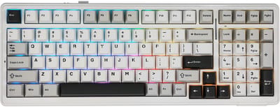 EPOMAKER x AULA F99 - Wit - Mechanisch Draadloos Toetsenbord - RGB - 100% - QWERTY - Gaming Keyboard - Leobog Reaper Switch