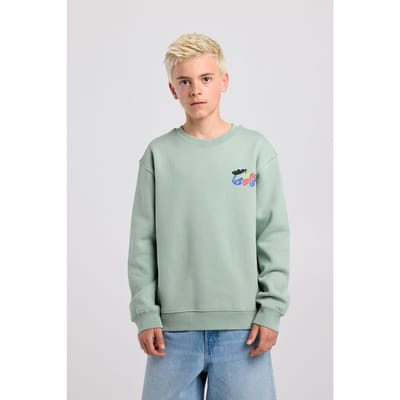 America Today Sheldon Crew Jr Sea Green Maat: 158/164 | Truien Outlet | Unisex | Groen