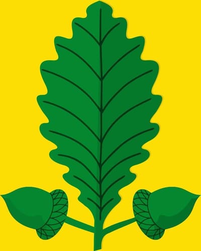 Vlag Heusden-Zolder 100x150cm