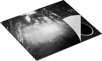 Chefcare Inductie Beschermer Bos met Zon tussen de Hoge Bomen - Zwart Wit - 60x50 cm - Afdekplaat Inductie - Kookplaat Beschermer - Inductie Mat