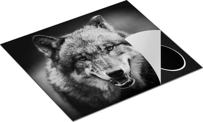 Chefcare Inductie Beschermer Wolvenkop met Blauwe Ogen - Wolf - Zwart Wit - 60x50 cm - Afdekplaat Inductie - Kookplaat Beschermer - Inductie Mat