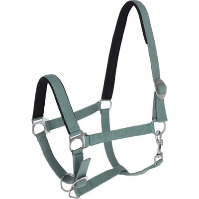 Halster voor paarden Covalliero Doria