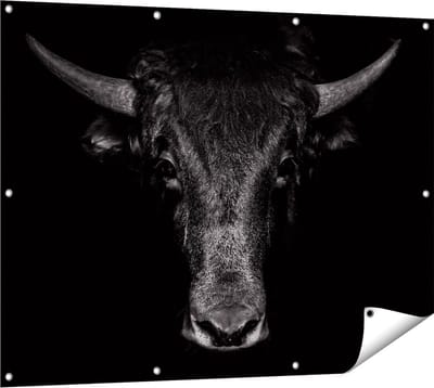 Gards Tuinposter Stierenkop - Stier - Zwart Wit - 120x90 cm - Tuindoek - Tuindecoratie - Wanddecoratie buiten - Tuinschilderij