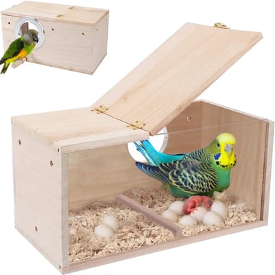 Dailygoods - Vogelhuisje van natuurlijk hout voor kleine vogels - Transparante kweekbox met voet voor Lovebirds, vinken en meer, 29,5 x 15 x 15 cm