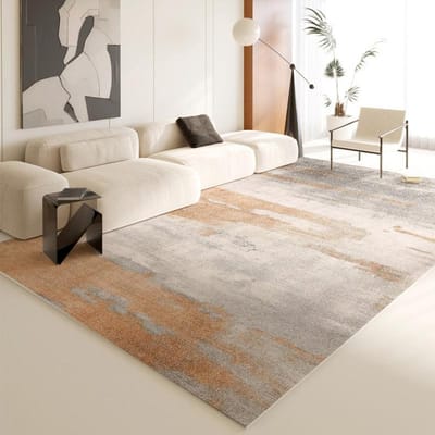 Modern Stijl Vloerkleden voor Slaapkamer Groot Oppervlak Woonkamer Decoratie Zacht Tapijt Wasbaar Lounge Vloermat Antislip Garderobe Vloerkleed 100*160cm