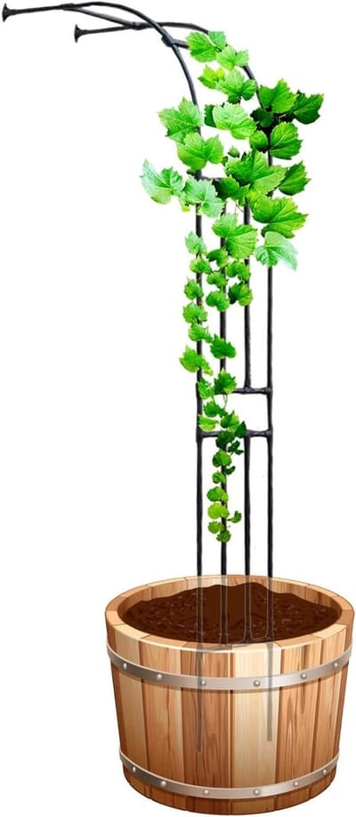 Tuinboog Metaal - Rozenboog Klimplant - Tuin Decoratie - Verstelbare Breedte - 180 x 240 cm - Zwart