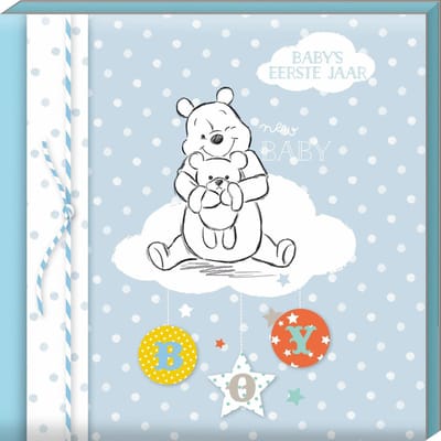 Disney Interstat Boekje Baby's Eerste Jaar - Boy