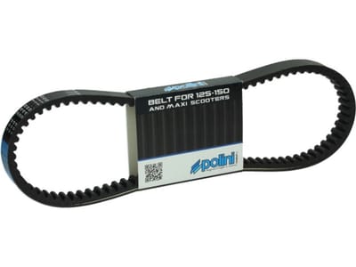 Courroie de transmission Polini pour Scooter Honda 125 SH 2001 à 2020 248.115 Neuf