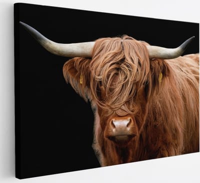 Saammp Canvas Schilderij - Schotse Hooglander Koe - Natuur - Dieren - Portret - 30x20 - Foto op canvas - Wanddecoratie - muurdecoratie Woonkamer - Slaapkamer decoratie - Canvas Print