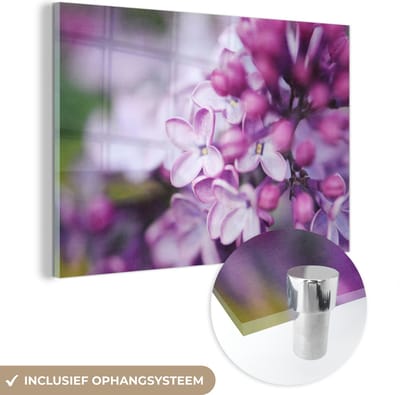 MuchoWow® Glasschilderij 180x120 cm - Schilderij acrylglas - Bloeiende wilde sering - Foto op glas - Schilderijen