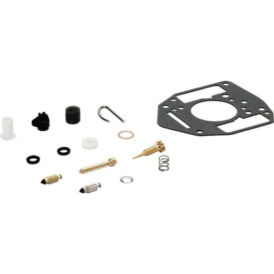 Briggs & stratton carburateur reparaties