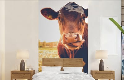 Behang - Fotobehang Koe - Zonsondergang - Bloemen - Gras - Dieren - Breedte 120 cm x hoogte 240 cm