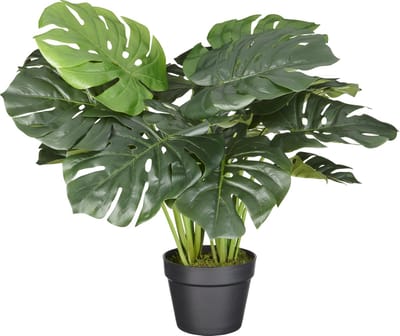Kunstplant Monstera H60cm - HTT Decorations kunstplanten