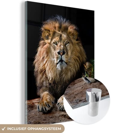 MuchoWow® Glasschilderij 30x40 cm - Schilderij acrylglas - Leeuwen - Jagen - Portret - Foto op glas - Schilderijen