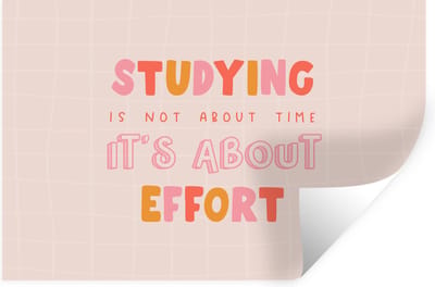 Muurstickers - Sticker Folie - Studeren - Quote - Motivatie - 30x20 cm - Plakfolie - Muurstickers Kinderkamer - Zelfklevend Behang - Zelfklevend behangpapier - Stickerfolie