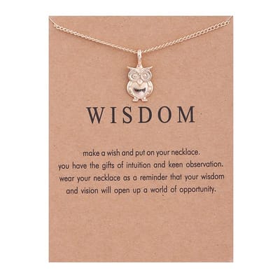 Bixorp Luck Dames Ketting met Gouden Uil - "Wisdom" - 45/50cm - Cadeau voor Vrouw - Goudkleurig