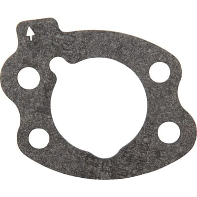 Briggs & stratton filterpakking