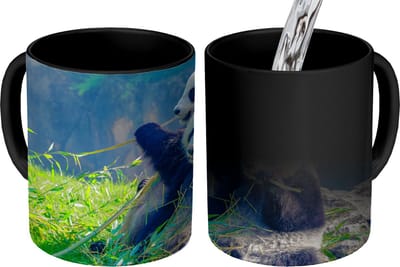 Magische Mok - Foto op Warmte Mokken - Koffiemok - Panda - Bamboe - Gras - Dieren - Magic Mok - Beker - 350 ML - Theemok