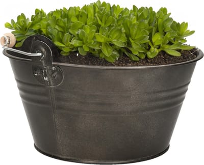 Mega Collections Emmer/plantenpot/bloempot - zink - donkergrijs - D23 x H12 cm