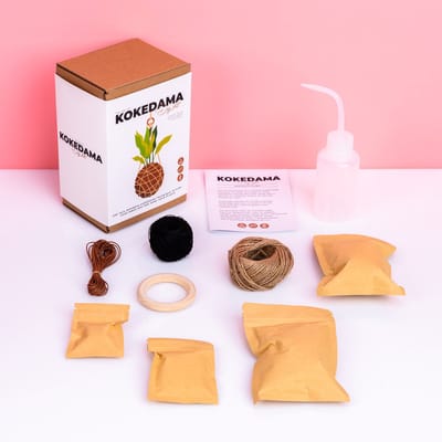Gift Republic Doe-het-zelf pakket - Kokedama