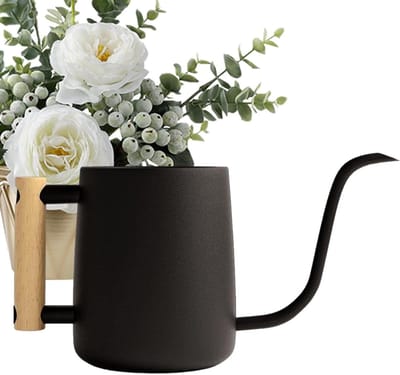 Roestvrijstalen Gieter - Waterkan Planten - Kamerplanten Verzorgen - Lange Precisie Tuit - 1 Liter - Zilver