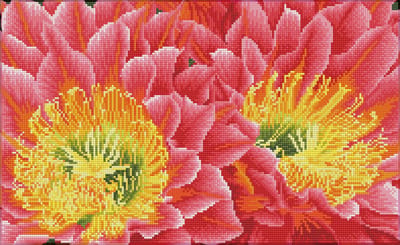 DQK9.009 Diamond Dotz® - Hobby Pakket - Diamond painting volwassenen - Diamond painting met lijst - Woestijn bloemen 32 x 52cm - Vierkante steentjes - Diamond painting pakket volledig
