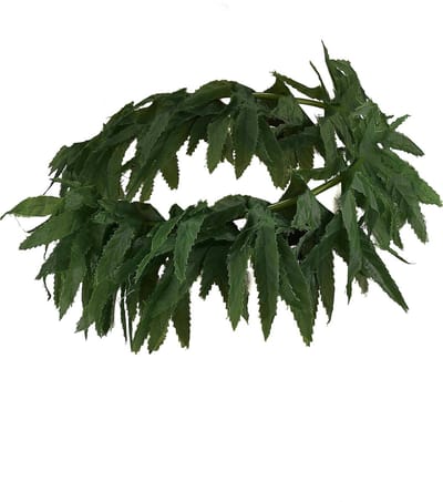 Vegaoo - Hawaiiaanse haarband met tropische blaadjes