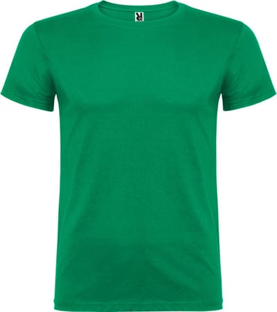 Kelly Groen 5 pack t-shirts Roly Beagle maat S