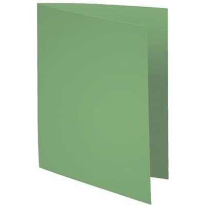 Exacompta FOREVER 170 - Pak van 100 dossiermappen 170g/m2- 24x32cm voor A4. - Fel groen - 420013E