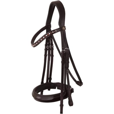 Anatomische hoofdstellen BR Equitation Wendover