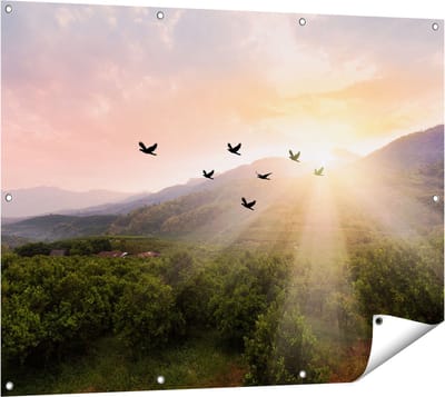Gards Tuinposter Silhouet Zwerm Vogels bij Zonsondergang - 120x90 cm - Tuindoek - Tuindecoratie - Wanddecoratie buiten - Tuinschilderij