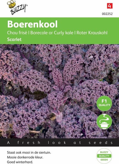 Buzzy® - Boerenkool Scarlet F1