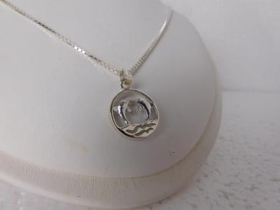 Sierlijk hangertje met 2 dolfijnen, compleet met zilver collier