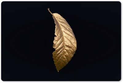 Placemats 45x30 cm - Placemat kunststof - 1 stuk - Bladeren - Luxe - Goud - Zwart - Natuur - Borden onderleggers - Decoratie voor op tafel - Keuken tafeldecoratie accessoires - Vinyl onderlegger - Tafelversiering
