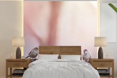 Behang - Fotobehang Vogels - Mussen - Paaltjes - Hout - Breedte 240 cm x hoogte 240 cm