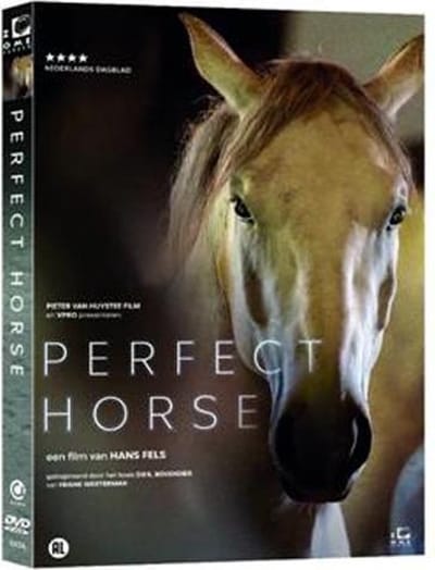 Perfect Horse