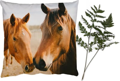 Sierkussens - Kussentjes Woonkamer - 40x40 cm - Paard - Strand - Dieren