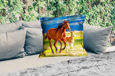 Sierkussen Buiten - Paarden - Gras - Dieren - Landschap - Natuur - 60x60 cm - Weerbestendig