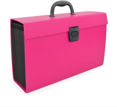 Dailygoody - Uitvouwbare Documentenbox - Documenten organiseren - Handvat - Donkerroze - 19 Vakken - Compact en veilig vervoeren - Geschikt voor kanto